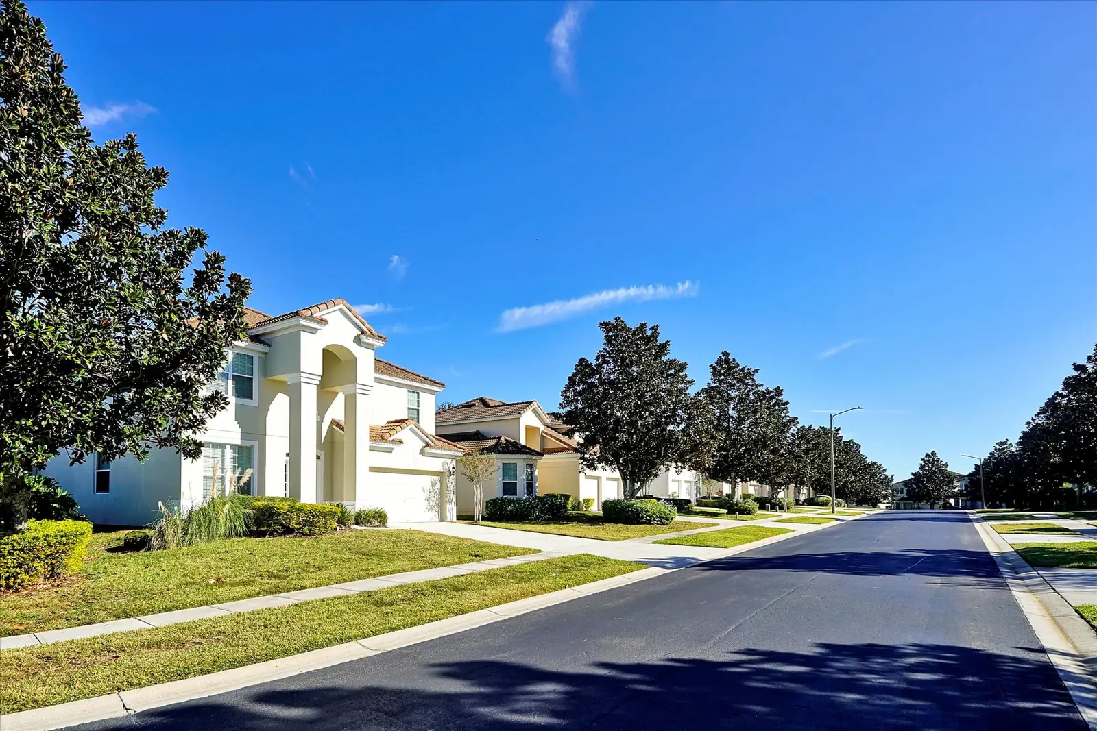 A quiet palm-lined street inside the Windsor Hills gated resort